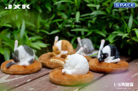 1/6 Scale Chicken Leg Cat (white/black)