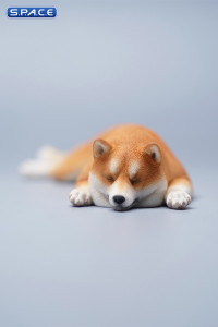 1/6 Scale Shiba Inu - sleeping on stomach (brown)