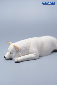 1/6 Scale Shiba Inu - sleeping on stomach (white)