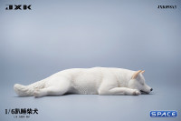 1/6 Scale Shiba Inu - sleeping on stomach (white)