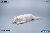 1/6 Scale Shiba Inu - sleeping on stomach (white)