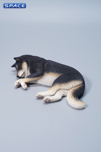1/6 Scale Shiba Inu - sleeping sideward (black)