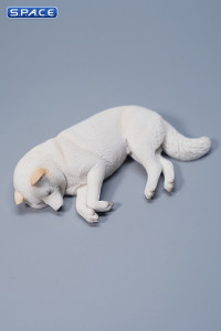 1/6 Scale Shiba Inu - sleeping sideward (white)