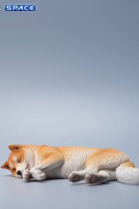 1/6 Scale sleeping Shiba Inu Set (brown)