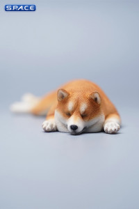 1/6 Scale sleeping Shiba Inu Set (brown)