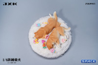 1/6 Scale sleeping Shiba Inu Set (brown)