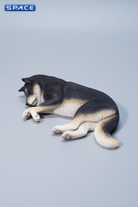 1/6 Scale sleeping Shiba Inu Set (black)