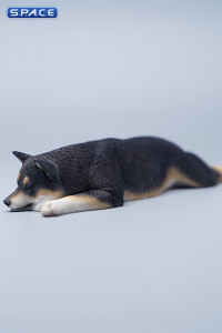 1/6 Scale sleeping Shiba Inu Set (black)