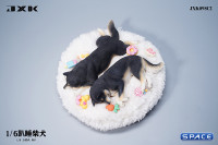 1/6 Scale sleeping Shiba Inu Set (black)