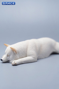 1/6 Scale sleeping Shiba Inu Set (white)