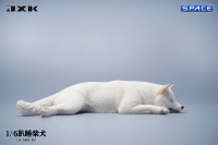 1/6 Scale sleeping Shiba Inu Set (white)