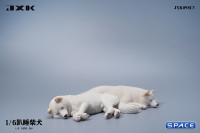 1/6 Scale sleeping Shiba Inu Set (white)