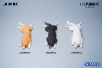 1/6 Scale sleeping Shiba Inu Set (white)