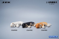 1/6 Scale sleeping Shiba Inu Set (white)