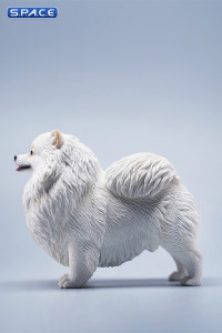 1/6 Scale Pomeranian (white)