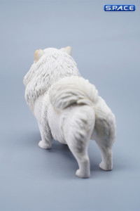 1/6 Scale Pomeranian (white)
