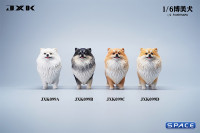 1/6 Scale Pomeranian (white)