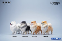 1/6 Scale Pomeranian (white)