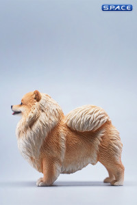 1/6 Scale Pomeranian (brown)