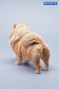 1/6 Scale Pomeranian (brown)