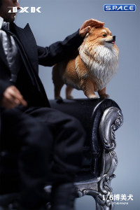 1/6 Scale Pomeranian (brown)