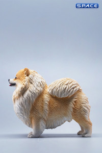 1/6 Scale Pomeranian (light brown)