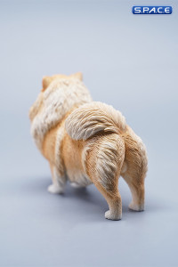 1/6 Scale Pomeranian (light brown)