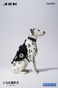 1/6 Scale sitting Dalmatian