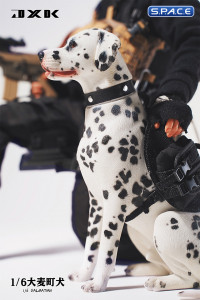 1/6 Scale sitting Dalmatian