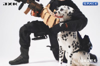 1/6 Scale sitting Dalmatian