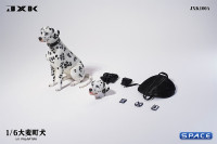 1/6 Scale sitting Dalmatian