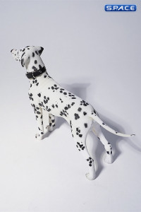 1/6 Scale Dalmatian