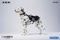 1/6 Scale Dalmatian