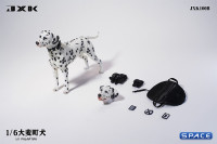 1/6 Scale Dalmatian