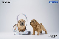 1/6 Scale Shar-Pei (light brown)