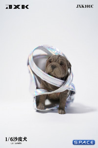 1/6 Scale Shar-Pei (grey)