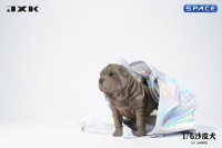 1/6 Scale Shar-Pei (grey)