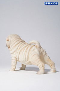 1/6 Scale Shar-Pei (white)