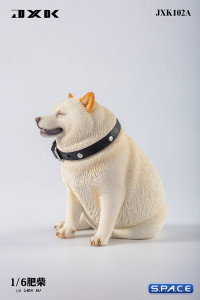 1/6 Scale fat Shiba Inu (white)