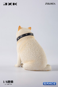 1/6 Scale fat Shiba Inu (white)