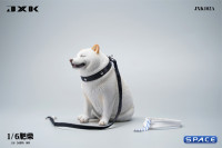 1/6 Scale fat Shiba Inu (white)