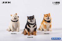 1/6 Scale fat Shiba Inu (white)