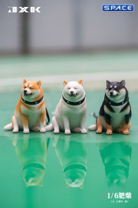 1/6 Scale fat Shiba Inu (black)