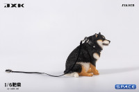 1/6 Scale fat Shiba Inu (black)