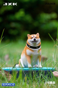 1/6 Scale fat Shiba Inu (brown)