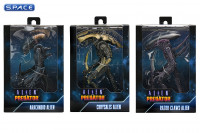 Complete Set of 3: Alien vs. Predator Movie Deco Series 1 (Alien vs. Predator)