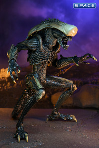 3er Komplettsatz: Alien vs. Predator Movie Deco Serie 1 (Alien vs. Predator)