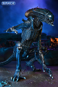 3er Komplettsatz: Alien vs. Predator Movie Deco Serie 1 (Alien vs. Predator)