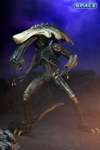 3er Komplettsatz: Alien vs. Predator Movie Deco Serie 1 (Alien vs. Predator)