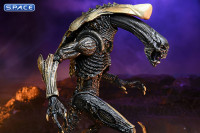 3er Komplettsatz: Alien vs. Predator Movie Deco Serie 1 (Alien vs. Predator)